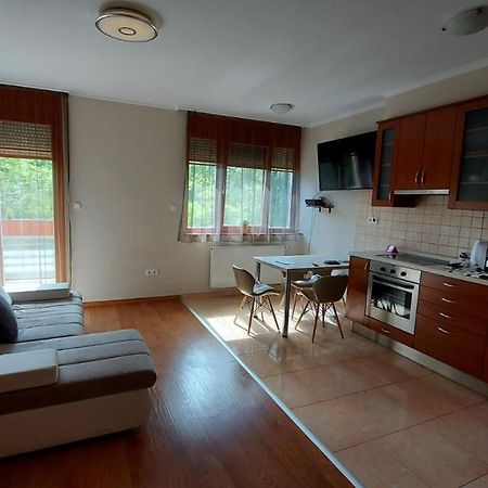 Sunny Loft Kecskemet Lägenhet Exteriör bild
